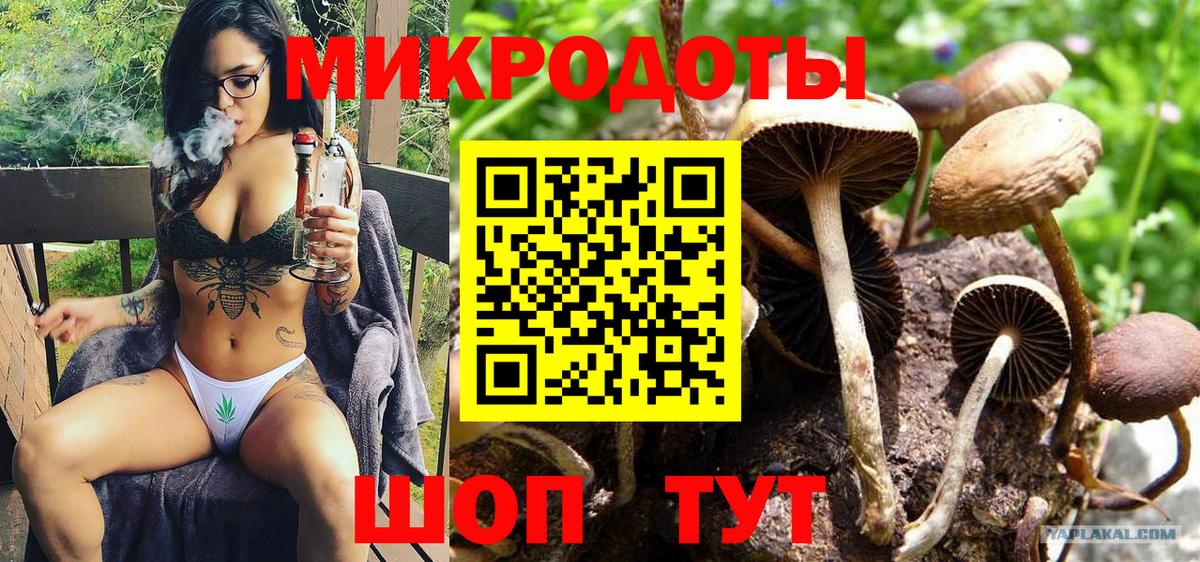Коркино  Галлюциногенные грибы GOLDEN TEACHER  Вход с VPN 